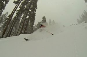 Sierra powder skier 12.7.13
