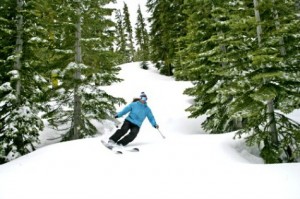 Homewood tree skier