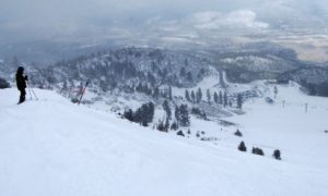 Mt. Rose lone skier gazing on powder day