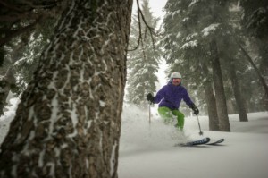 One of the joys of skiing at many Lake Tahoe resorts is weaving in and out of the trees.