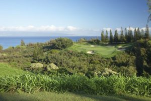 The PGA tour opened its season this week with the Hyundai Tournament of Champions on the Plantation Course in Maui.