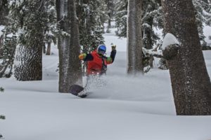 A skilled snowboarder enjoys a tree run at Heavenly Resort in Lake Tahoe.