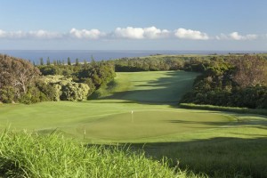 The 15th hole on the Plantation golf course in Kapalua is one of many scenic holes that provides both a challenge and a beautiful setting.