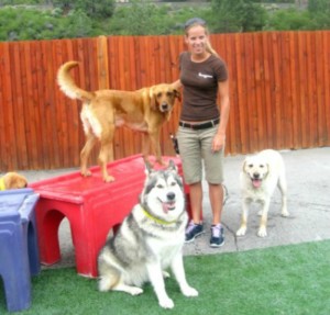 At the Truckee-Tahoe Pet Lodge, one of the perks is daily group playtimes in their safe, monitored outdoor play yards, which are a great way to help your pet get acclimated and enjoy this temporary home away from home.  