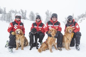 Rescue dogs, like the ones utilized by Heavenly Mountain resort in Lake Tahoe, This gives them the ability to search for extended periods of time.