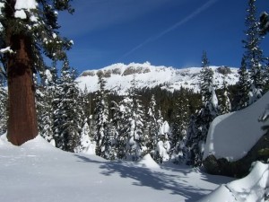 Mt. Rose is a mid-size ski resort that is a favorite of people from Reno, which is only 25 minutes away.