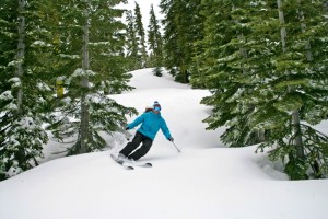 Although most of the popular trails are meticulously groomed, there is an abundance of trees, which is why a powder day will attract a good number of locals.