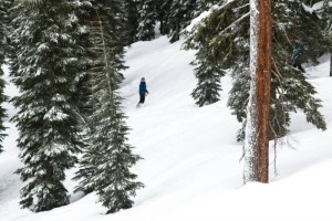 Northstar California is currently reporting 401 inches of natural snowfall to date this season.
