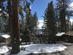 One doesn’t need to venture too far to experience the beauty of Lake Tahoe, which is located across the street from Cedar Glen. Walking along the Tahoe shoreline on a snowy afternoon is a very cool experience. 