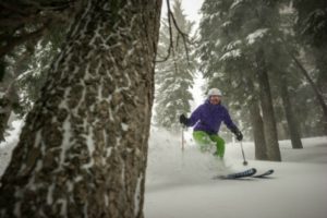 Alpine Meadows features a variety of terrain, including trees that are ideal for skiing and riding.