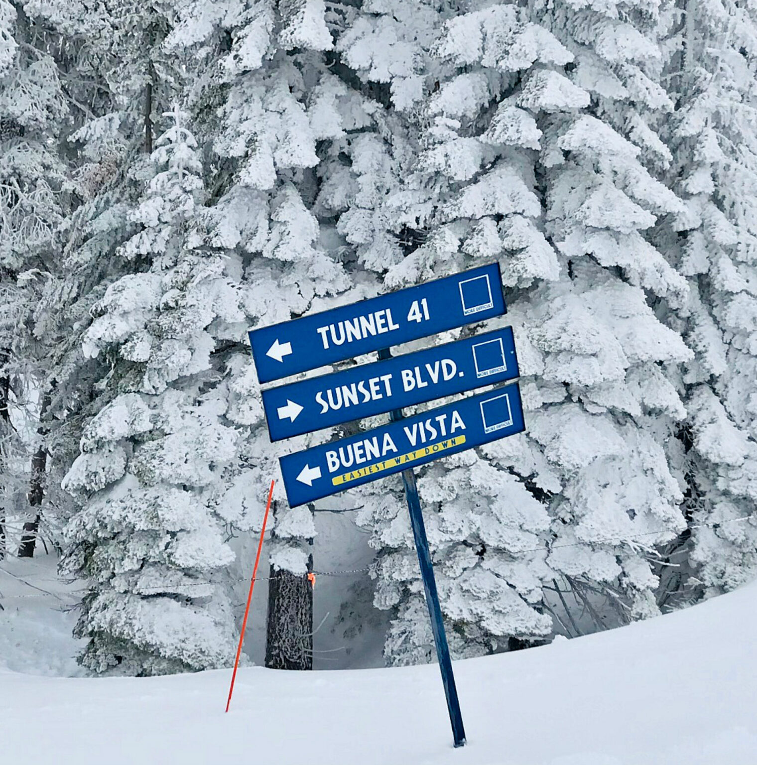 Great earlyseason conditions at Sugar Bowl